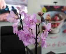 PMPR promove encontro “Chá de Rosas” e debate identidade feminina entre policiais militares