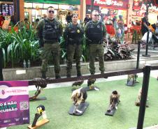 PMPR e Forças de Segurança Intensificam Ações de Proteção à Mulher durante evento da SESP no Shopping Estação