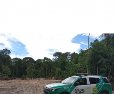 PMPR autua 14 pessoas por desmatamento irregular em área de vegetação nativa