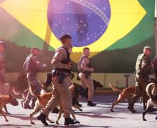 PMPR forma novos policiais especializados no uso de cães e reforça atuação no combate ao crime no Estado