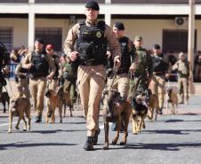 PMPR forma novos policiais especializados no uso de cães e reforça atuação no combate ao crime no Estado