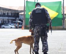 PMPR forma novos policiais especializados no uso de cães e reforça atuação no combate ao crime no Estado