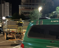 PMPR apreende quase 12 toneladas de baterias e prende motorista por crime ambiental em Vitorino