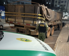 PMPR apreende quase 12 toneladas de baterias e prende motorista por crime ambiental em Vitorino