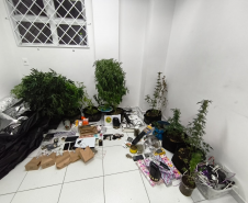 PMPR detém 114 pessoas e apreende mais de R$ 12 mil durante Operação Páscoa