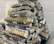 PMPR e PF prendem homem com medicamentos contrabandeados na BR-277, em Cascavel