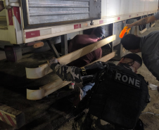 PMPR apreende 40 mil cigarros eletrônicos avaliados em R$ 5 milhões na RMC