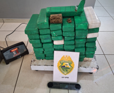 PMPR apreende 40 kg de maconha e prende homem durante cumprimento de mandado em Guarapuava