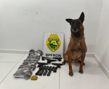 PMPR identifica passageiras com drogas e armas presas ao corpo em abordagem a ônibus em Guaíra