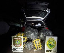 PMPR e PF apreendem veículo carregado com 96 kg de maconha em Foz do Iguaçu