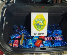 PMPR prende duas mulheres e apreende mais de 170 kg de maconha em Cascavel