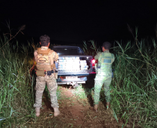 PMPR e Polícia Federal apreendem mais de 420 quilos de maconha em Santa Helena