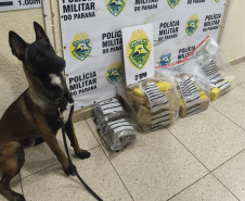 PMPR apreende mais de 29 quilos de maconha e prende três por tráfico em Pato Branco