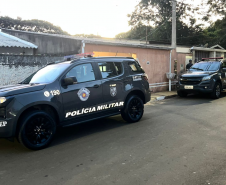 Operação Hydra