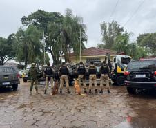 Após buscas detalhadas, os militares estaduais localizaram aproximadamente 5.100 quilos de maconha escondidos sob um carregamento de mandioca
