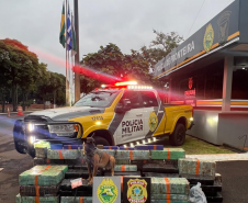 PMPR e forças integradas apreendem quase três toneladas de drogas em operações no Oeste do Estado