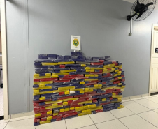 PMPR apreende mais de 380 quilos de maconha após abordagem na BR-277