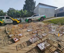 PMPR e IAT apreendem 95 aves e aplicam mais de R$ 400 mil em multas durante operação em Guarapuava