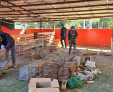 PMPR e IAT apreendem 95 aves e aplicam mais de R$ 400 mil em multas durante operação em Guarapuava