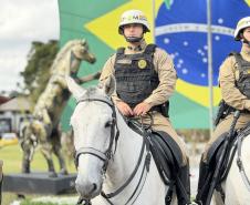  O evento reuniu autoridades militares e civis, veteranos, policiais da ativa, familiares e convidados para celebrar a trajetória da Cavalaria paranaense