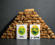 PMPR apreende quase 50 quilos de maconha durante fiscalização em Andirá
