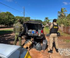 O balanço parcial reúne resultados de diferentes unidades da corporação que atuam no enfrentamento aos crimes transfronteiriços