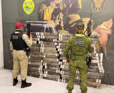 Mais de 2,6 toneladas de maconha são apreendidas em ações da PMPR no Oeste do Estado