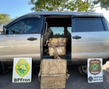 Mais de 2,6 toneladas de maconha são apreendidas em ações da PMPR no Oeste do Estado