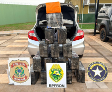 Ação integrada apreende 288 quilos de maconha e recupera veículo roubado em Terra Roxa