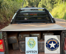 Operação Omnis: PMPR apreende mais de meia tonelada de maconha durante ação integrada no Noroeste do Paraná