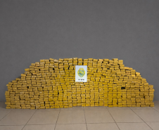 PMPR apreende quase meia tonelada de maconha e prende três homens em Pinhão