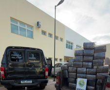 Operação Omnis: PMPR apreende mais de meia tonelada de maconha durante ação integrada no Noroeste do Paraná