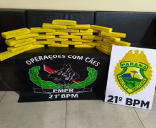PMPR apreende mais de 25 quilos de maconha em ônibus interestadual em Francisco Beltrão