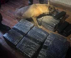 PMPR e PCPR prendem oito pessoas e apreendem mais de 120 quilos de drogas em Cascavel