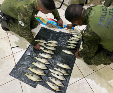 PMPR prende dois homens por pesca irregular no Rio Paraná, em Icaraíma