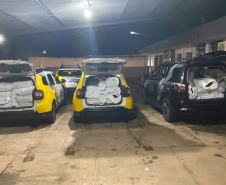 PMPR apreende 729 quilos de maconha em barracão comercial de Sarandi