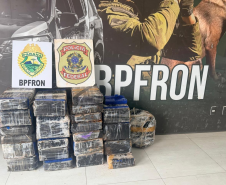 PMPR e PF prendem homem e apreendem 320 quilos de maconha em Assis Chateaubriand