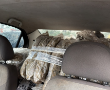 Omnis Fronteira: PMPR apreende 478 quilos de maconha e prende dois homens em Foz do Iguaçu