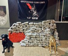 Apreensões de maconha crescem 228% em dez anos na região de fronteira do Paraná