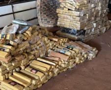 Apreensões de maconha crescem 228% em dez anos na região de fronteira do Paraná