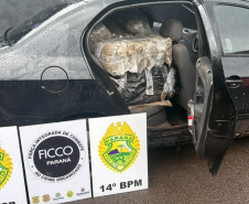 Omnis Fronteira: PMPR apreende 478 quilos de maconha e prende dois homens em Foz do Iguaçu