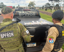 PMPR prende mulher e apreende medicamentos para emagrecimento em Santa Tereza do Oeste