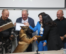 Atuação da PMPR é reconhecida com homenagem a policiais em Rio Branco do Sul