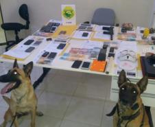 Polícia Militar cumpre mandados no Norte Pioneiro e apreende drogas, dinheiro e objetos; 19 pessoas são encaminhadas