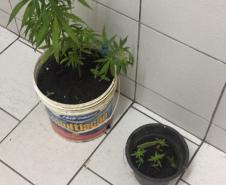 Atuação preventiva da PM contra o tráfico de drogas resulta em dois presos e drogas apreendidas em Guaratuba