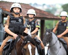 Curitiba, 16 de Fevereiro de 2018. Operação Polícia Militar e Prefeitura