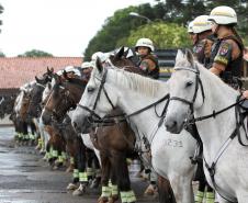 Curitiba, 16 de Fevereiro de 2018. Operação Polícia Militar e Prefeitura