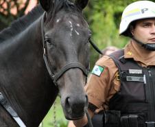 Curitiba, 16 de Fevereiro de 2018. Operação Polícia Militar e Prefeitura