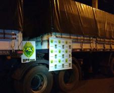 BPFron apreende 1,5 mil caixas de cigarro contrabandeados do Paraguai 