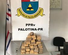 Quase 20 quilos de maconha são apreendidos pelo BPRv em Palotina (PR)